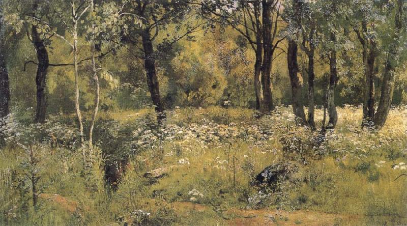 Ivan Shishkin The lawn in the forest oil painting picture